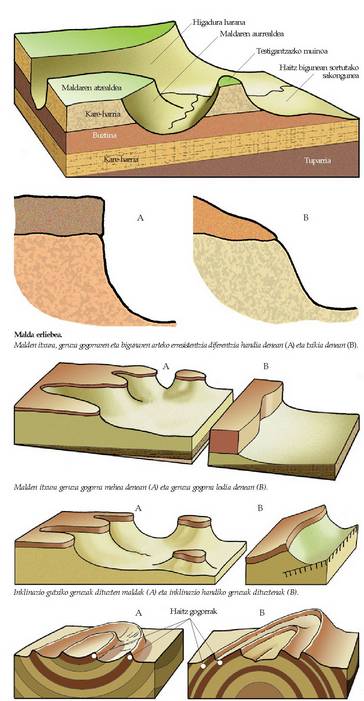 Zeharretarako epaiak: arroen (A) eta muinoen (B) gainean sortutako maldak. Arro edo sinklinaletako malden muturrak kanpoalderantz daude. Muino edo antiklinaletakoak, berriz, barrualderantz.<br><br>